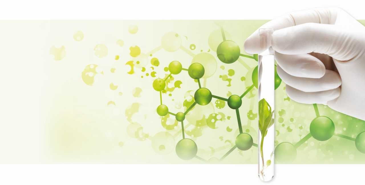 Les Conférences Chimie Verte et Biotechnologie Blanche – le grand rendez-vous international annuel de GreenWin