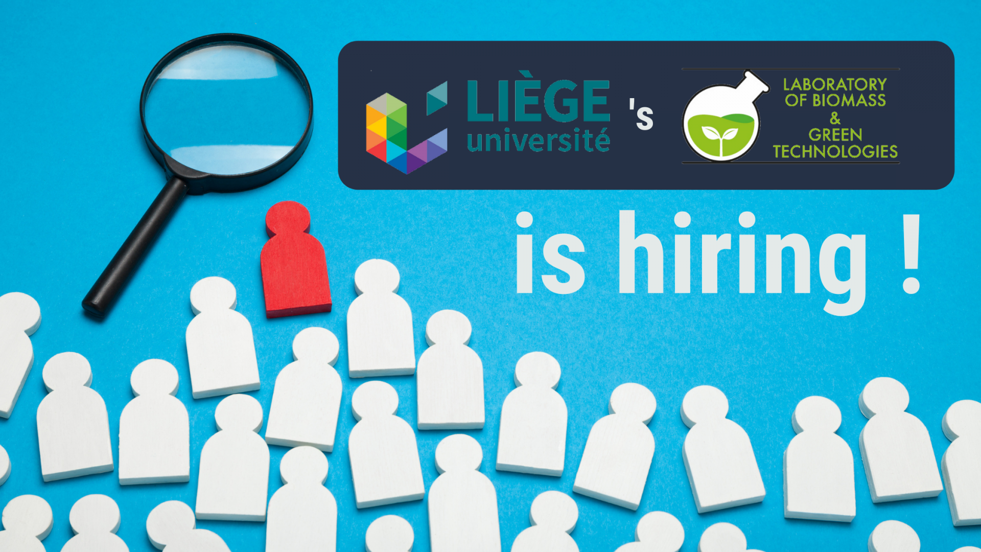 The University of Liège's Laboratory of Biomass & Green Technologies is hiring for 2 positions