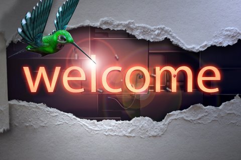 Welcome on Board: bienvenue aux nouveaux Membres de GreenWin!