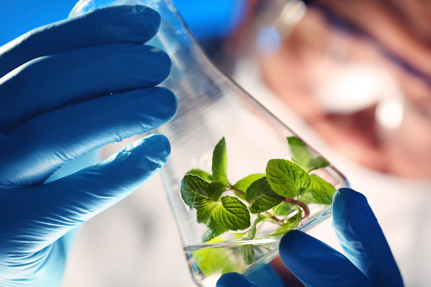 Conferences on Green Chemistry and White Biotechnologies